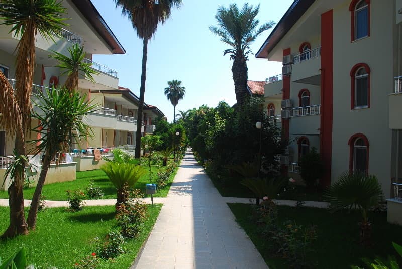undefined image 4