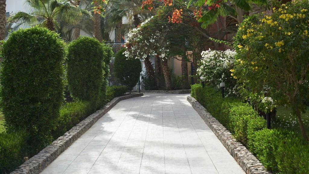 undefined image 44