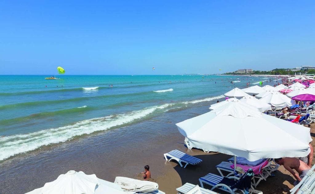 undefined image 20