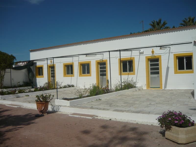 undefined image 4