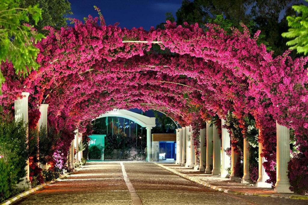 undefined image 23