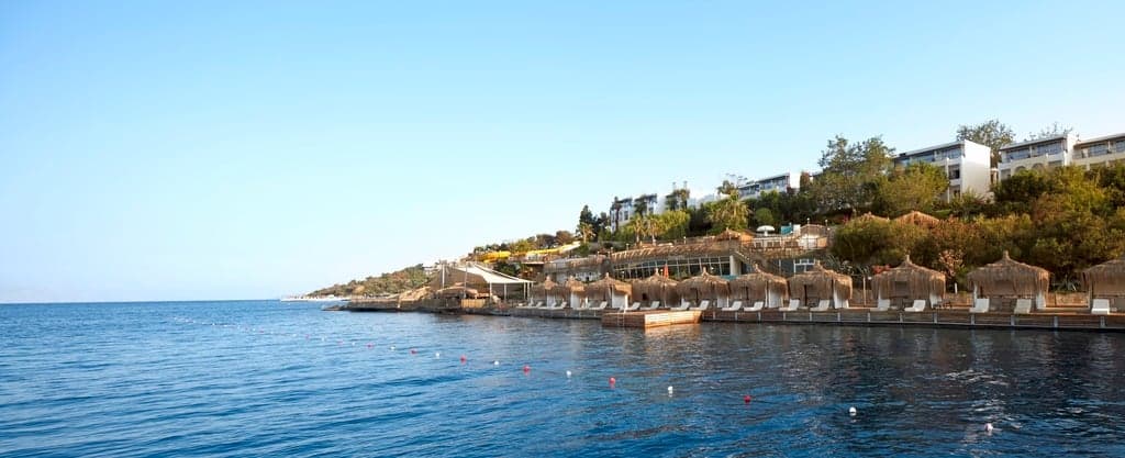 undefined image 35