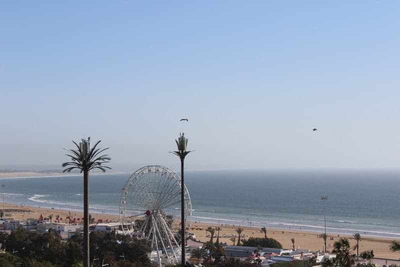 undefined image 8