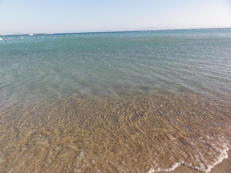 undefined image 5
