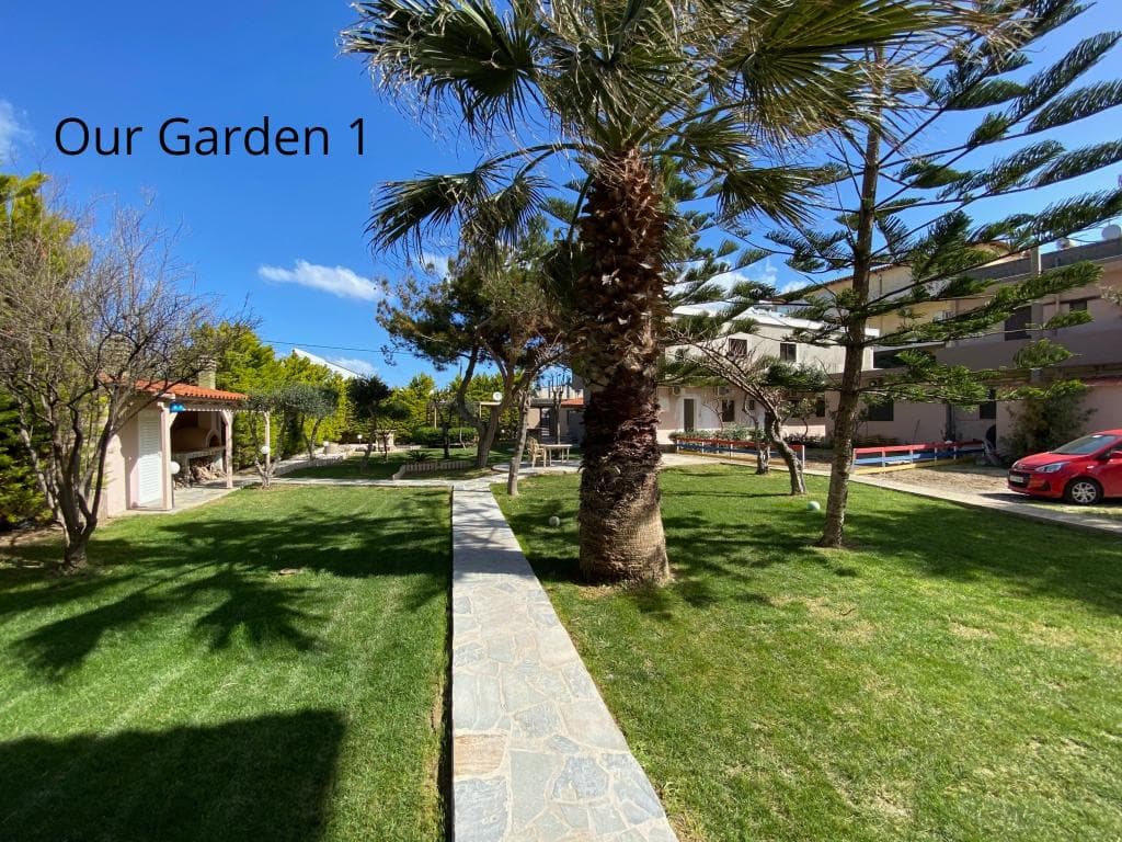 undefined image 12