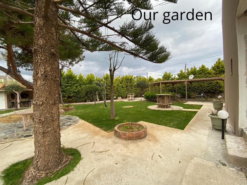 undefined image 14
