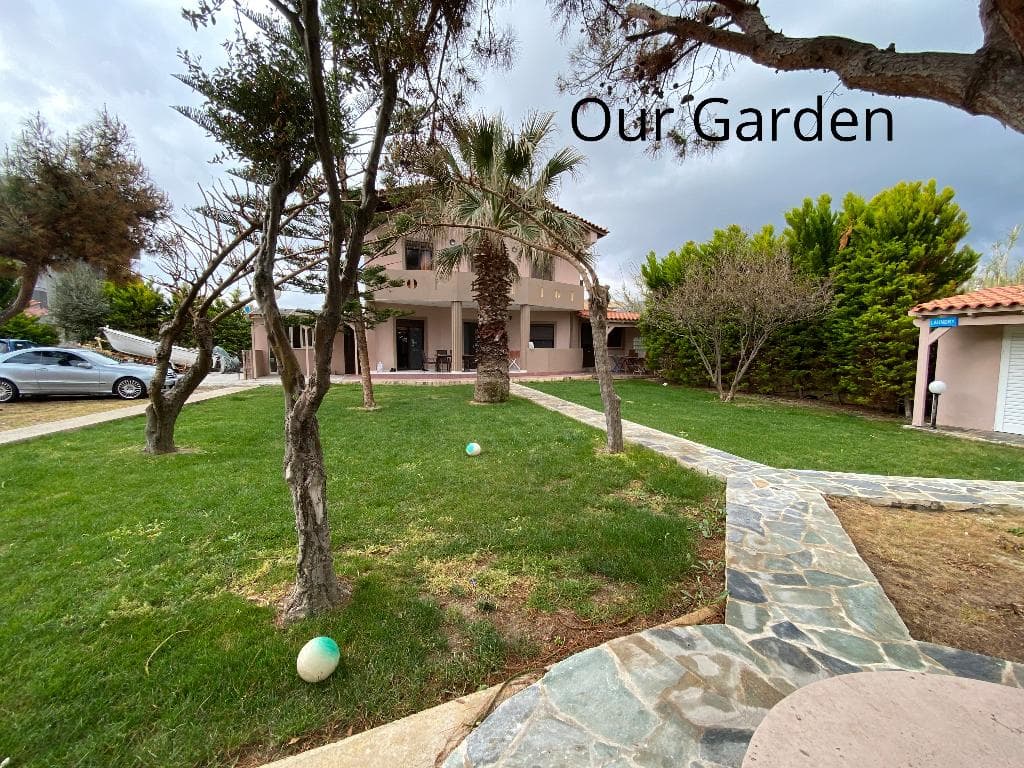 undefined image 15