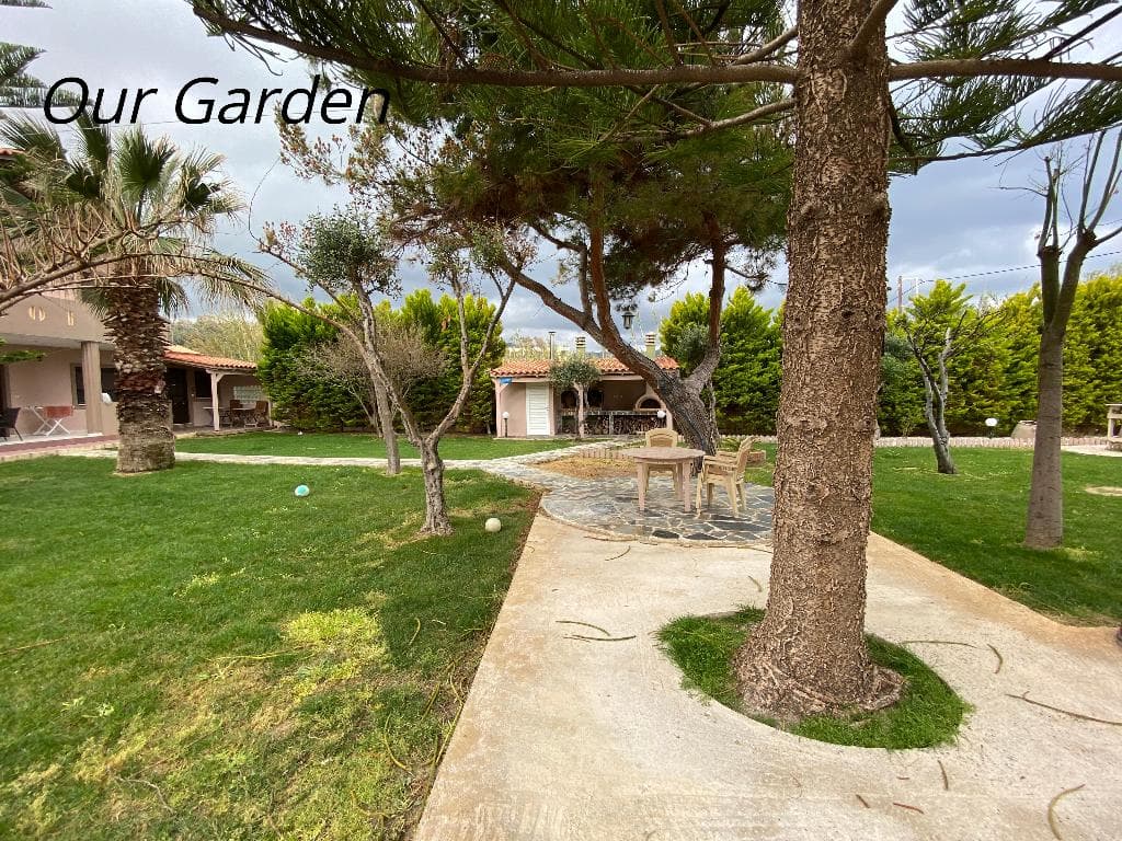 undefined image 16