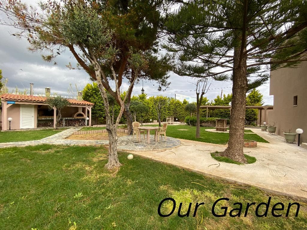 undefined image 17