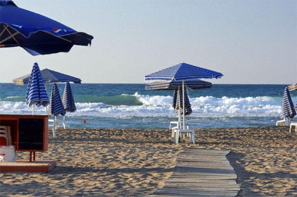 undefined image 42