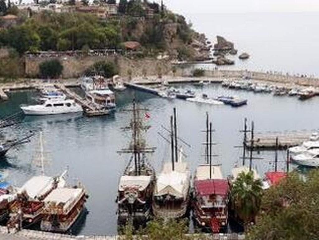 undefined image 29