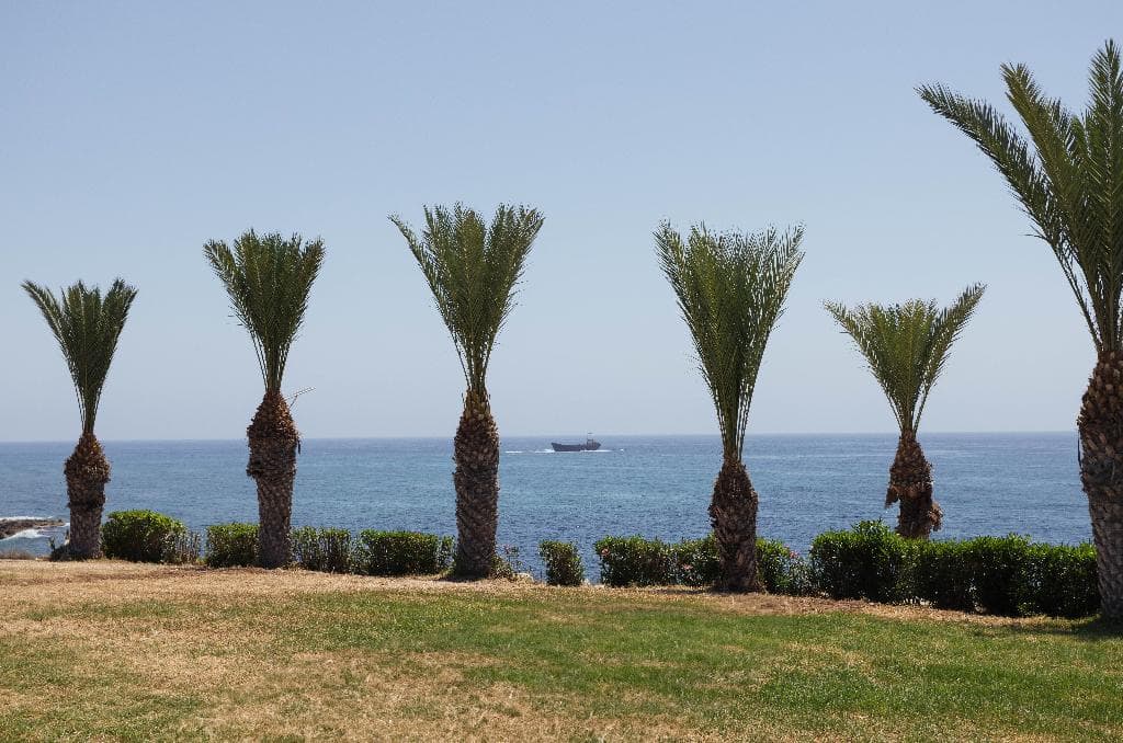 undefined image 10
