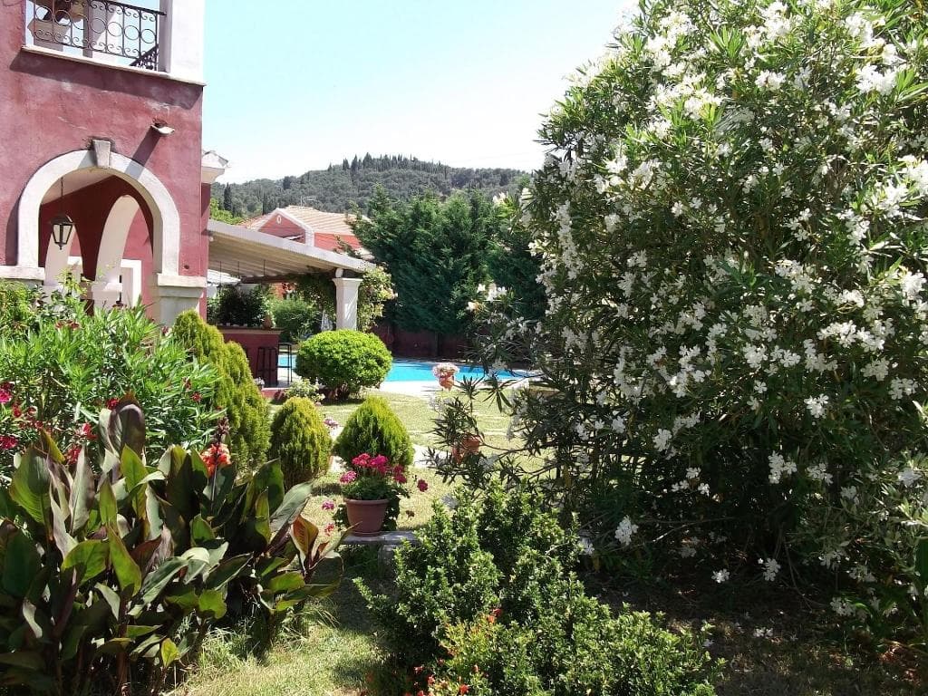 undefined image 11