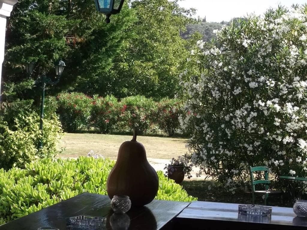 undefined image 8