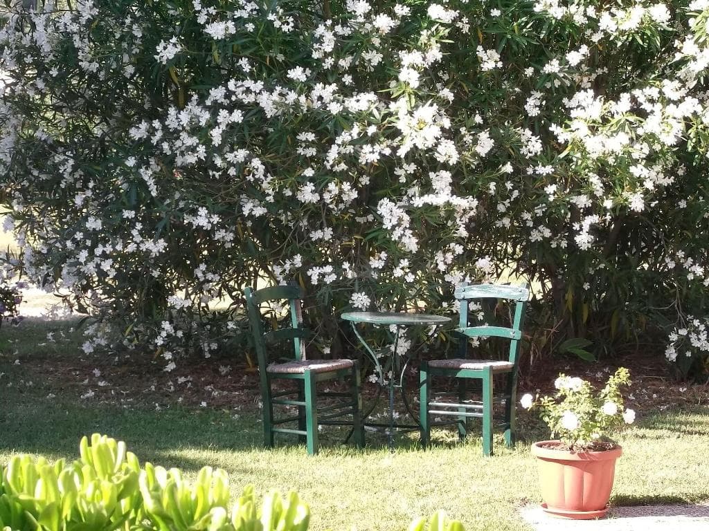 undefined image 9