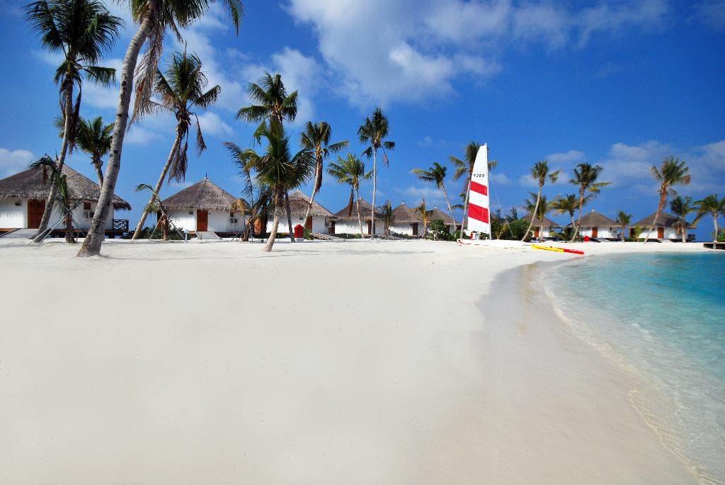 undefined image 29