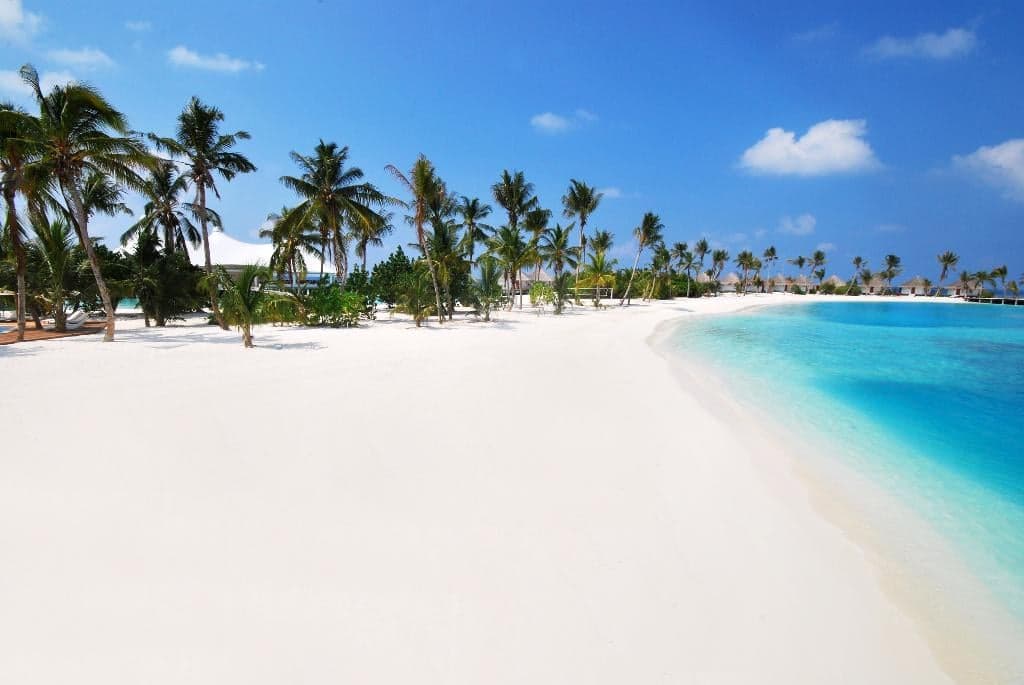 undefined image 30