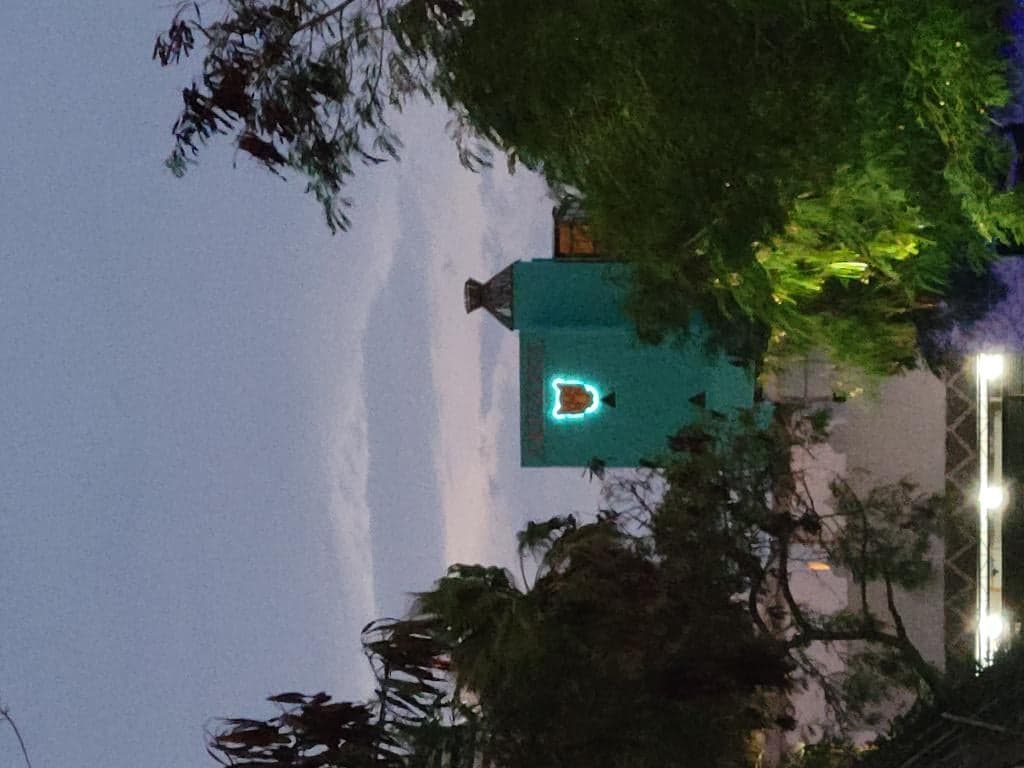 undefined image 20