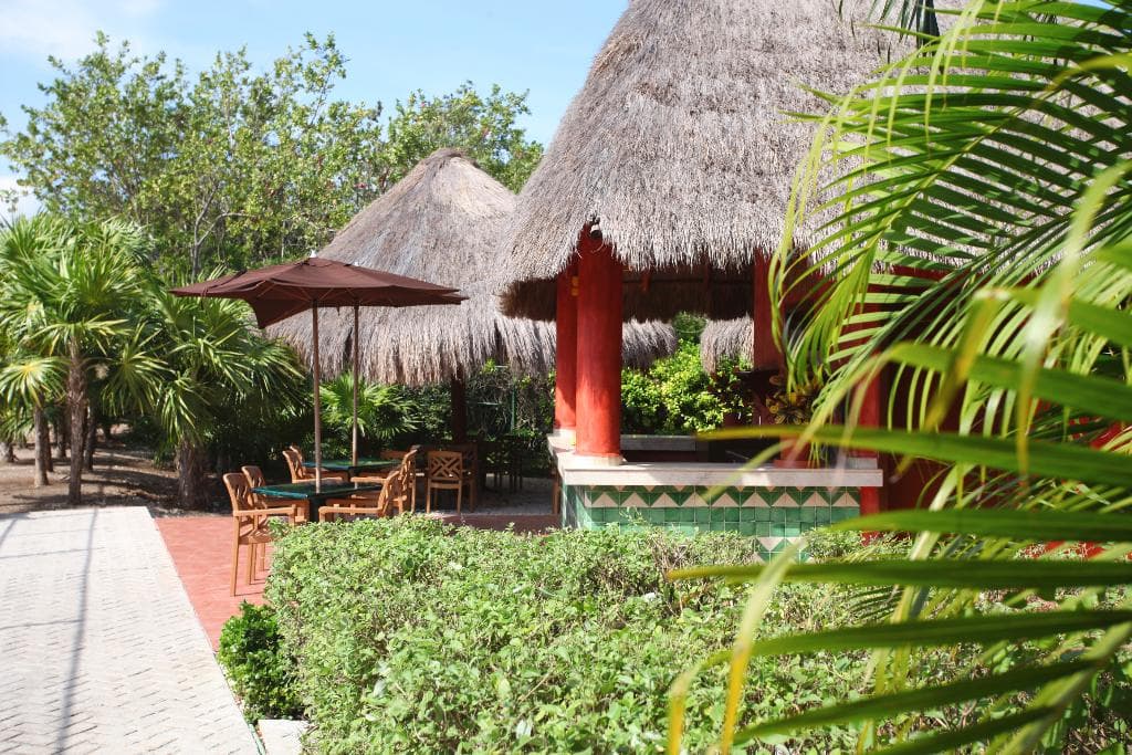 undefined image 145