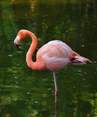 Head To The Al Zorah Nature Reserve