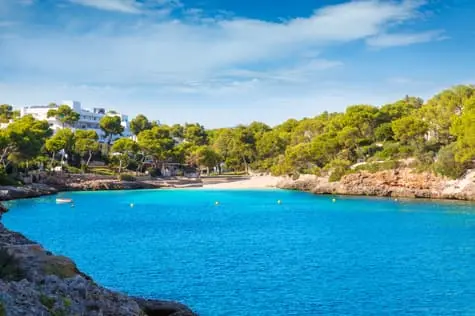 Discover the Quintet of Coves