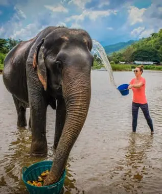 The Elephant Jungle Sanctuary