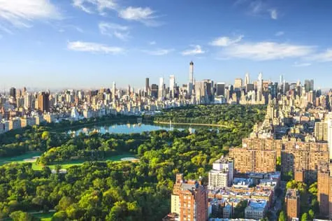 Chill Out in Central Park