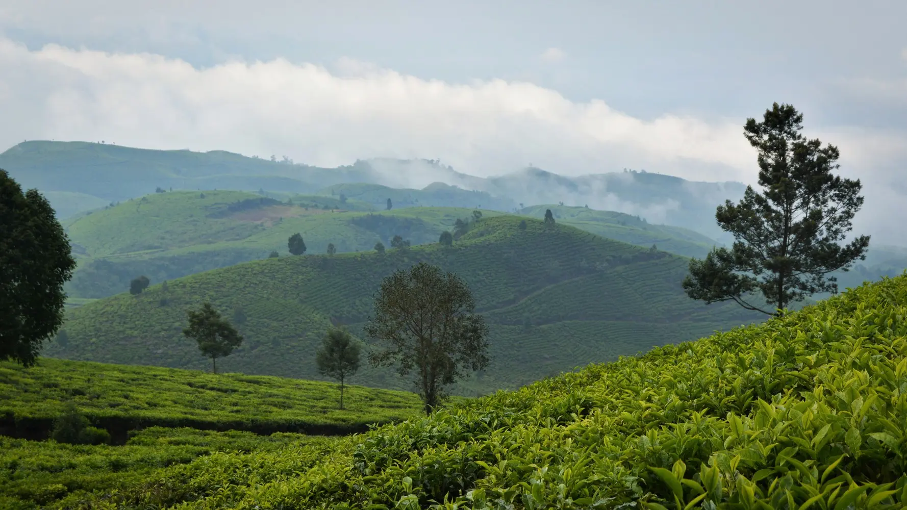 Sabaragamuwa Province