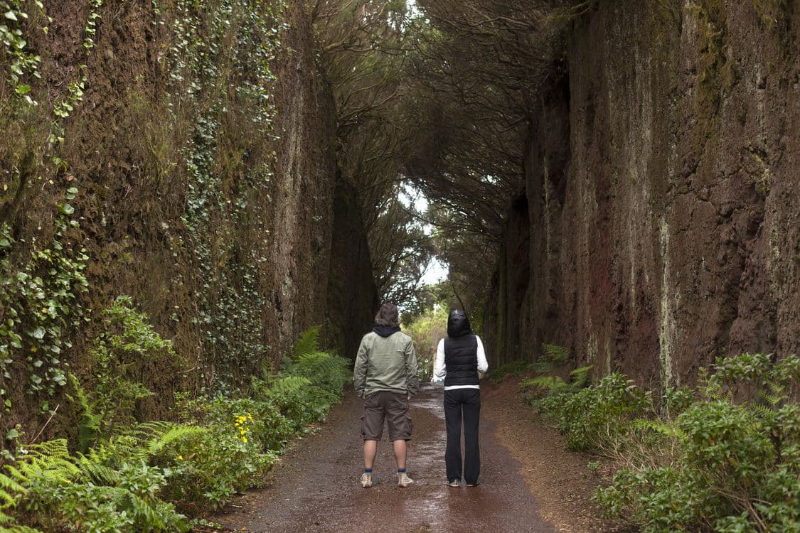 Family Holidays to Tenerife