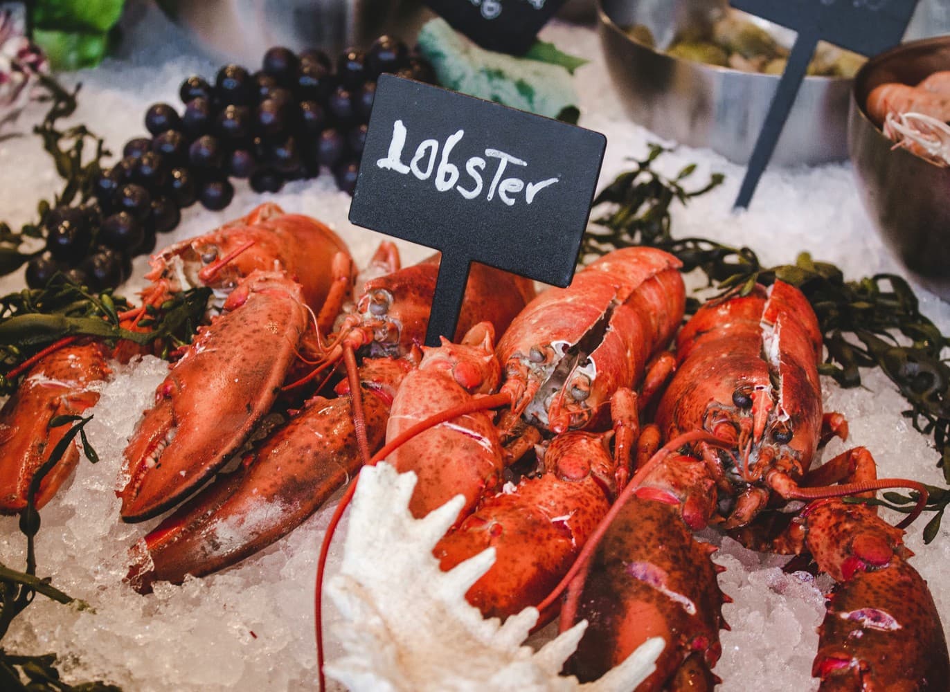 <h3 style="text-align: center;"><strong>Fine Food & Drink</strong></h3>