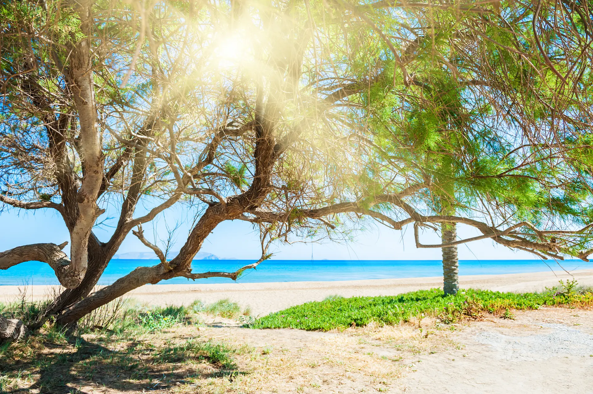 Last Minute Holidays to Egypt