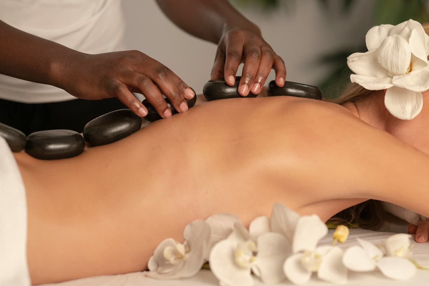 <h3 style="text-align: center;"><strong>Luxury All Inclusive Holidays</strong></h3>