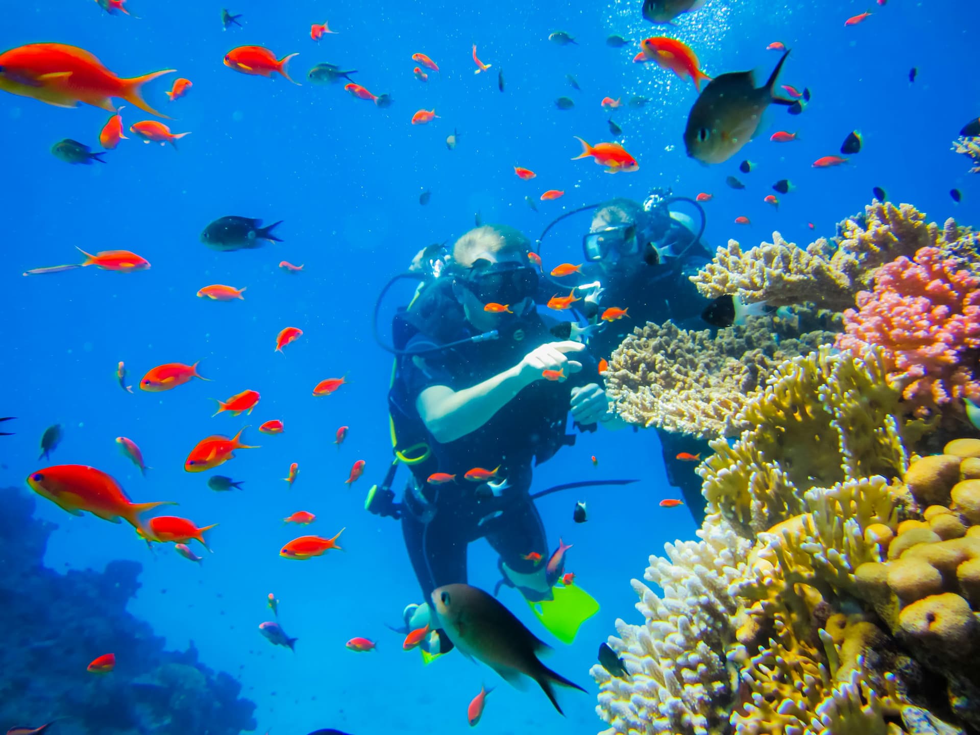 <h3 style="text-align: center;"><strong>Top All Inclusive Hotels in Egypt for 2026</strong></h3>