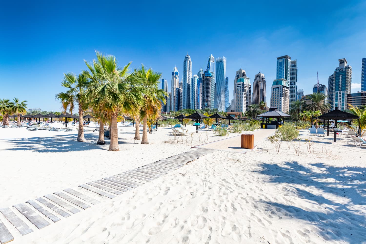 <h3 style="text-align: center;"><strong>Winter Sun in January</strong></h3>